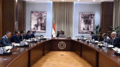 عاجل.. رئيس الوزراء يستعرض ملامح مشروع ضخم للبتروكيماويات في المنطقة الاقتصادية