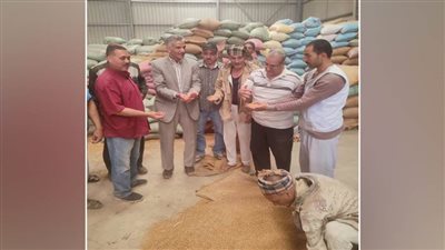 وكيل زراعة أسيوط يتابع حصاد وتوريد القمح بالقوصية