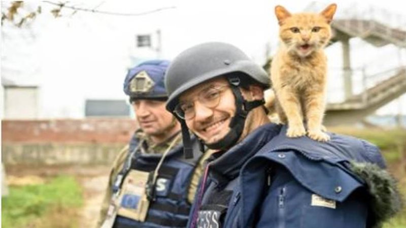 الصحفي سولدين