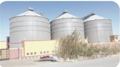 توريد القمح للشون والصوامع بالمراكز والقرى دون عقبات بالوادي الجديد