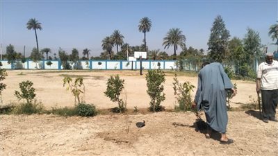 استمرار فعاليات مبادرة 100 مليون شجرة وزراعة 355 شجرة بمركز البداري بأسيوط