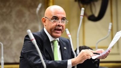 هندي: قانون الهجرة وثيقة التأمين أبرز مطالب المصريين بالخارج على مائدة الحوار الوطني