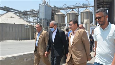 توريد 72 ألف طن قمح لشون وصوامع القليوبية