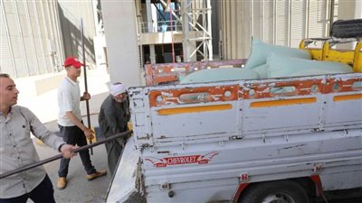 نائب محافظ المنيا: شون وصوامع المحافظة تستقبل 197 ألف طن قمح