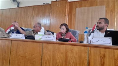 محافظ الإسكندرية يتابع مستجدات الخطوات التنفيذية للمبادرة الرئاسية 