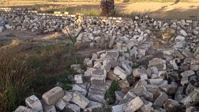 إزالة 1131 حالة تعدٍ منذ انطلاق الموجة 21 لإزالة التعديات بالبحيرة