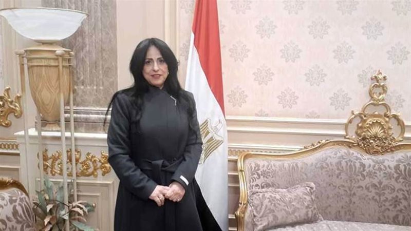 النائبة ميرال جلال