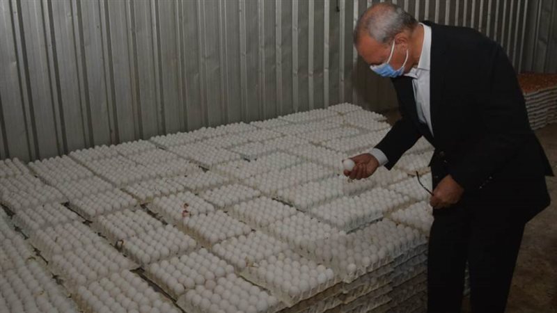 تفقد إنتاجية البيض