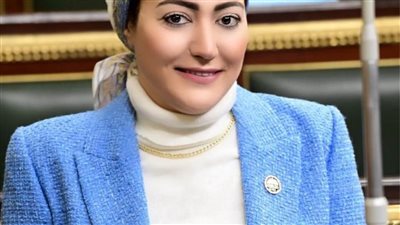 النائبة أسماء الجمال: تفقد الرئيس السيسي مشروعات شرق العوينات يعزز الأمن الغذائي 