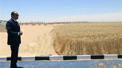 ماذا حدث في توشكي؟.. شاهد بالفيديو