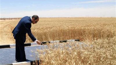 صورة اليوم.. الرئيس عبدالفتاح السيسي يشهد افتتاح موسم حصاد القمح
