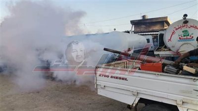 حملات مكبرة لمكافحة البعوض والذباب بكفر الشيخ 