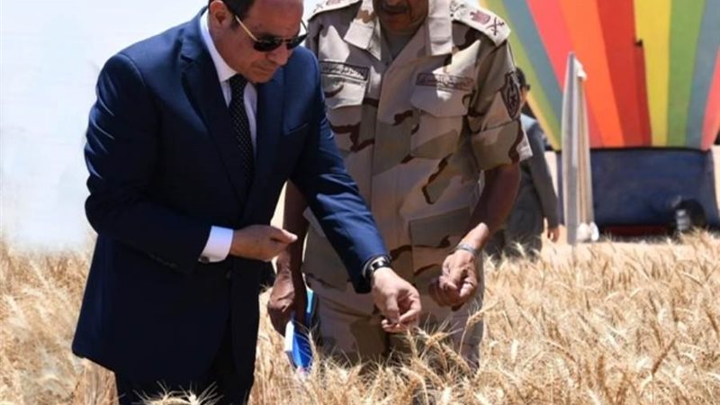 الرئيس عبدالفتاح