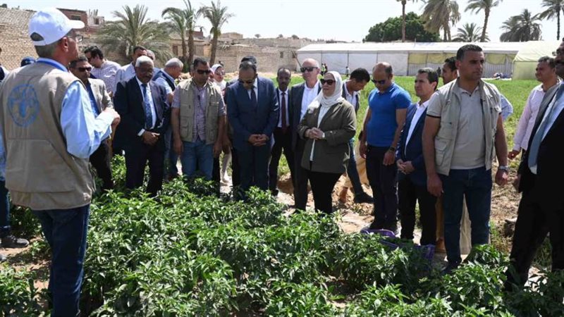 وزيرة التضامن تتفقد