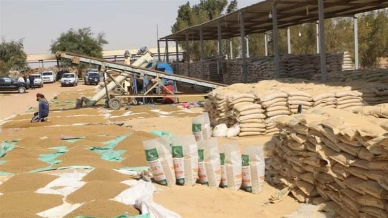 اعتماد مصنع تدوير