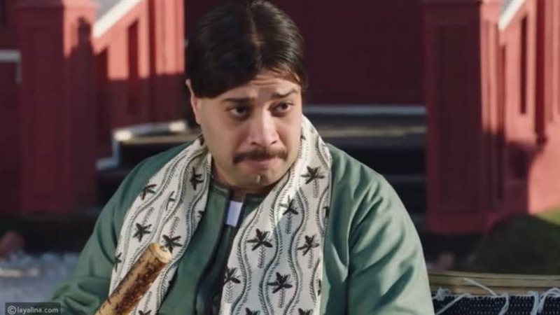 حاتم صلاح في مسلسل