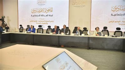 الوفد يقترح إنشاء وحدة اقتصادية مستقلة لتمويل برامج الحماية الاجتماعية