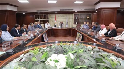 محافظ بني سويف يبحث مع وفد الصحة تنفيذ المجمع الاستشفائي البيئي بالحيبة