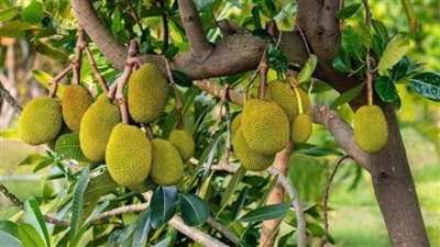 عاجل| تُعرف باسم 