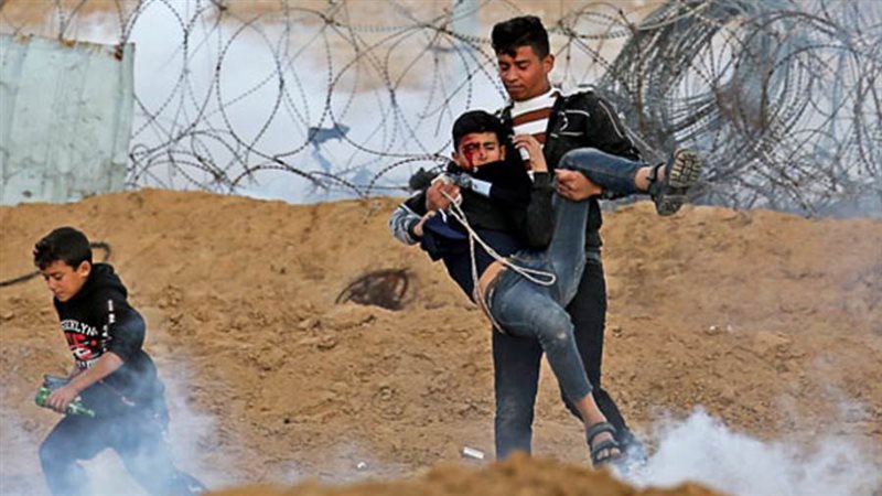 بوابة روز اليوسف