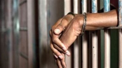 حبس سنة لخفير و3 سنوات لمتهمين بحيازة أسلحة نارية بطوخ