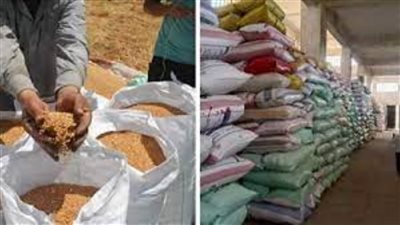 وزارة التموين: حملات يومية لضبط القمح المحلي المهرب