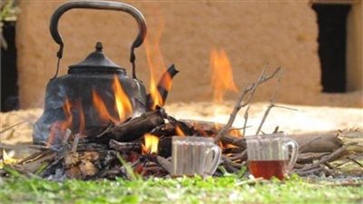 عاجل| بمناسبة يومه العالمي.. د. جمال شعبان يحدد 10 فوائد للشاي الأسود