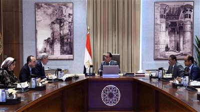 مدبولي يلتقى رئيس هيئة الشراء الموحد ويطمئن على توافر مختلف الأدوية والمستلزمات الطبية