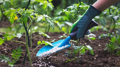 تسع دول إفريقية تستفيد من آلية تمويل الأسمدة الإفريقية لدعم الأمن الغذائي