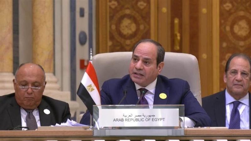 الرئيس عبد الفتاح