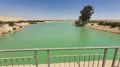 فريق متخصص من حماية وتنمية البحيرات يزور مزرعة أم شيحان السمكية