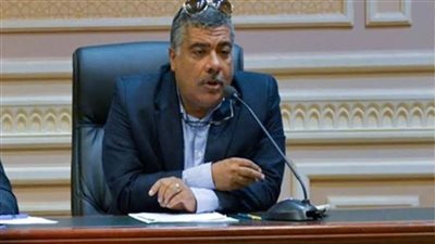 رئيس صناعة النواب يطالب بضرورة عمل قانون موحد للصناعة