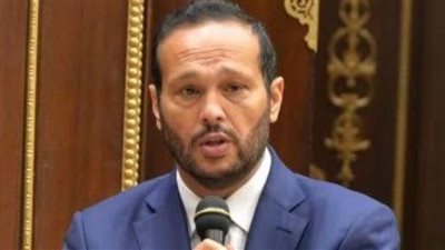 ممثل مستقبل وطن: هدفنا أن تكون مصر رائدة في الصناعة والتصدير