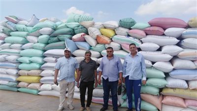 توريد 233 ألف طن قمح للشون والصوامع بالبحيرة