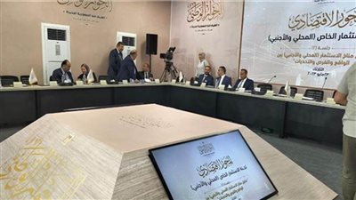 حميدة: الاستثمار يمثل جزءًا من الاقتصاد الذي كان سببًا في تقدم ورقي المجتمعات