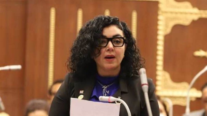 النائبة ريهام عفيفي