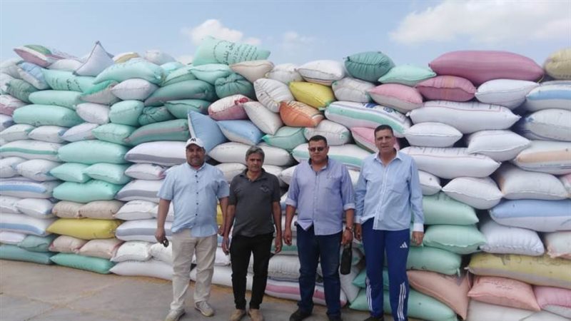 توريد 233 ألف طن