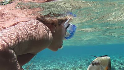 تدريب لوكلاء السياحة والسفر للمقصد السياحي المصري 