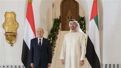 الرئيس الإماراتي ورئيس القيادة اليمني يبحثان العلاقات الثنائية ومستجدات الأوضاع