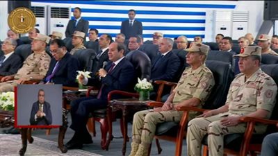 الرئيس السيسي يدعو الشركة المنفذة لمصانع الكوارتز والحكومة الإيطالية للإسراع في تنفيذ باقي مراحل المشروع