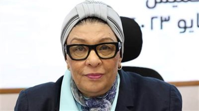 د. فاطمة سيد أحمد تطالب بفلترة الكيانات التعليمية بشكل يفيد العملية التعليمية