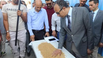  توريد 327 ألف طن من محصول القمح بشون وصوامع المنيا