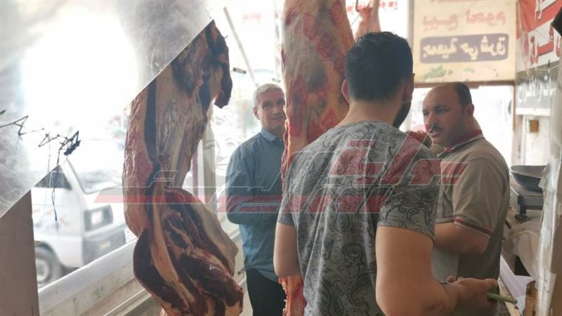 الحملة التموينية