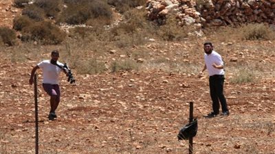 مستوطنون يعتدون على مواطن ويطلقون النار على مركبات جنوب نابلس