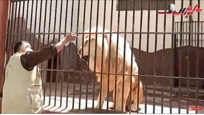 التذكرة بـ٥ جنيهات.. حديقة الحيوان المتنفس الرئيسي والأقدم للمصريين في الإجازات