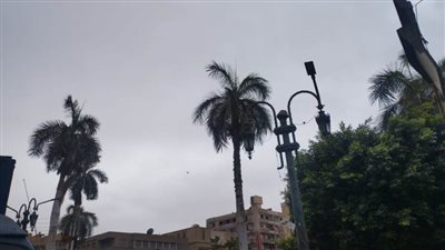 طقس غير مستقر وأمطار خفيفة تشهدها المنيا