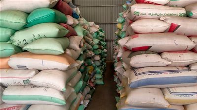 توريد 256 ألف طن قمح لشون وصوامع محافظة البحيرة