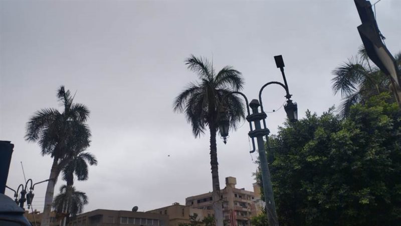 أمطار وغيوم بالمنيا