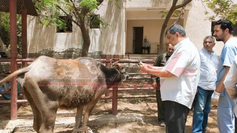 القافلة الطبية