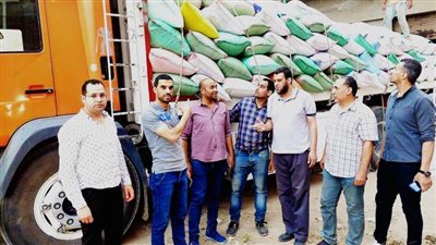 ضبط 53 طن قمح تم تجميعها بمخالفة القرارات الوزارية بكفر الدوار